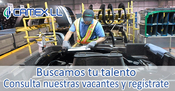 empleo Camex LL S de RL